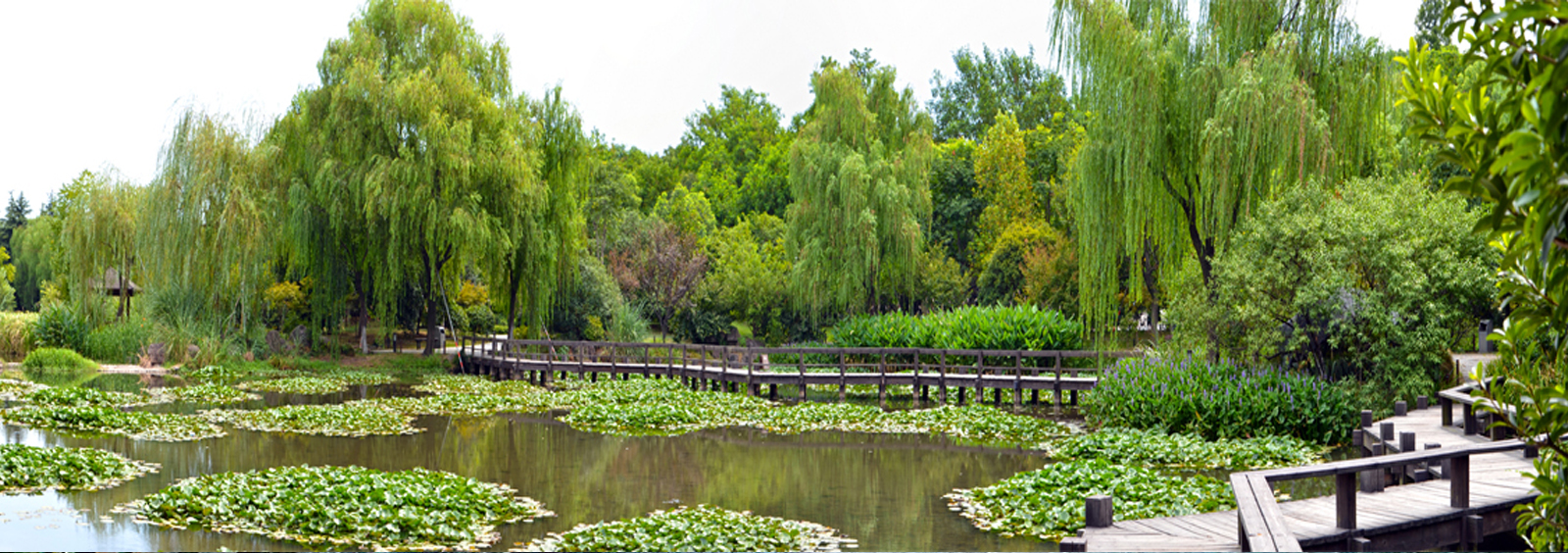 url(http://hssc-scrutiny.com/theme/TP000163/pic/banner4.jpg)